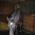 19 Troy and Storm December 2004